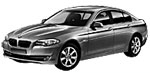 BMW F10 P21AA Fault Code
